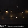 Black Commercial Fairy Lights 2 min