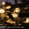Black Commercial Fairy Lights 6 min