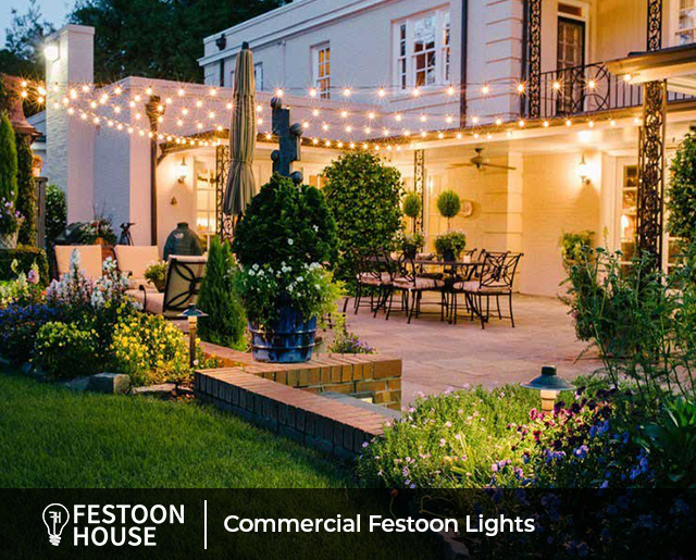 Commercial Festoon Lights 2