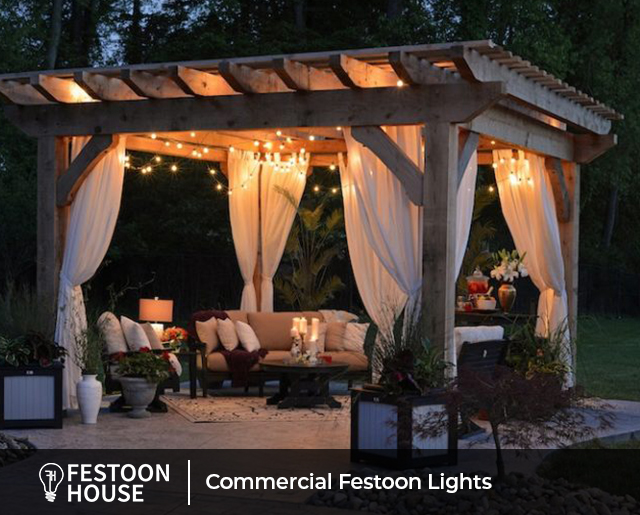 Commercial Festoon Lights
