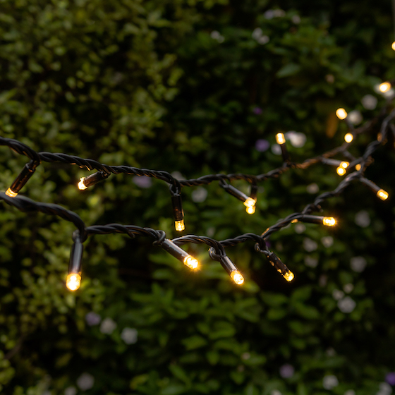 Hanging Fairy Lights Outdoors