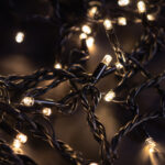 Black Cable LED Warm White Fairy Lights