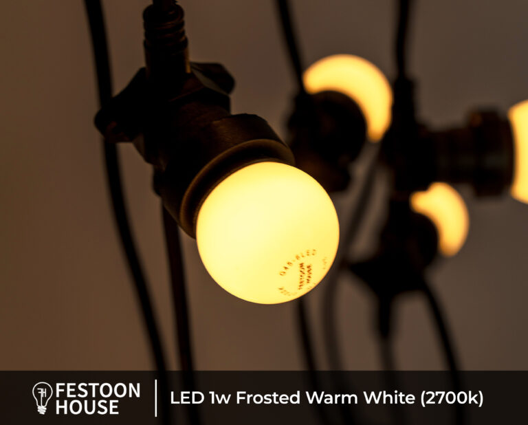 LED 1w Frosted Warm White (2700k) 1