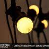 LED 1w Frosted Warm White 2700k