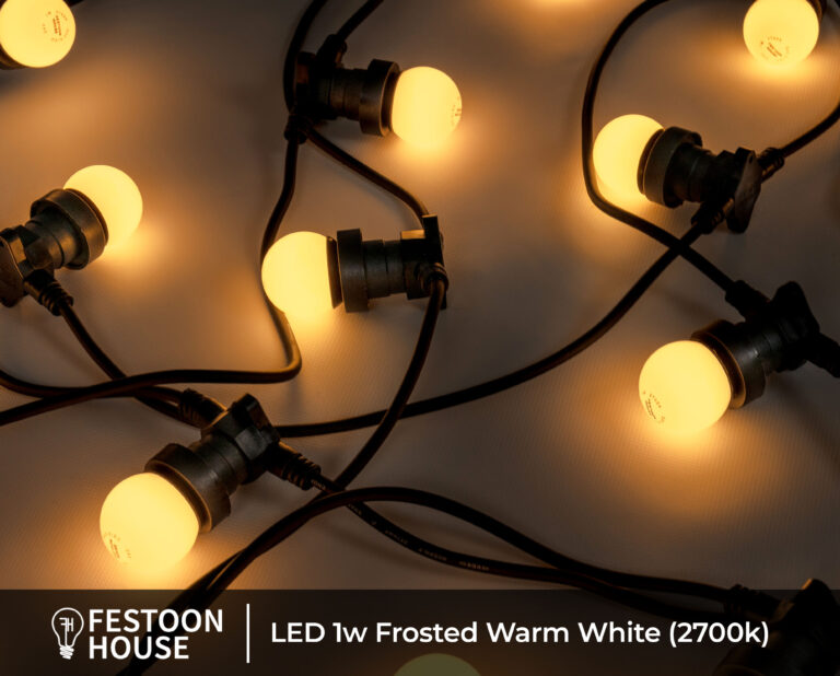 LED 1w Frosted Warm White (2700k) 2
