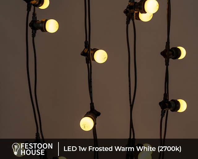 LED 1w Frosted Warm White 2700k 3