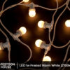 LED 1w Frosted Warm White 2700k white 2