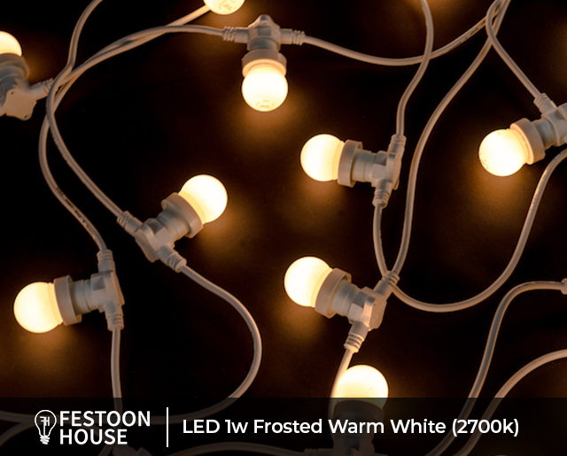 LED 1w Frosted Warm White 2700k white 2