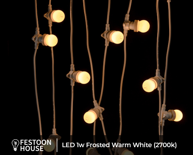 LED 1w Frosted Warm White 2700k white 3