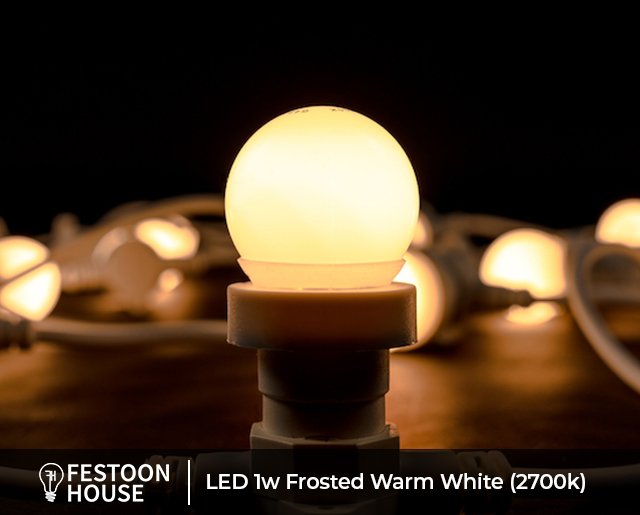 LED 1w Frosted Warm White 2700k white