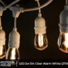 LED 2w S14 Clear Warm White 2700k 4
