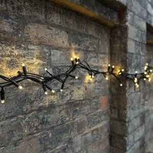 Outdoor Low Voltage Fairy Lights Warm White Black Cable