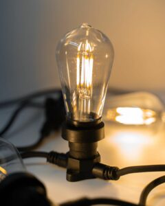 4W ST58 LED Bulb in Clear Warm White