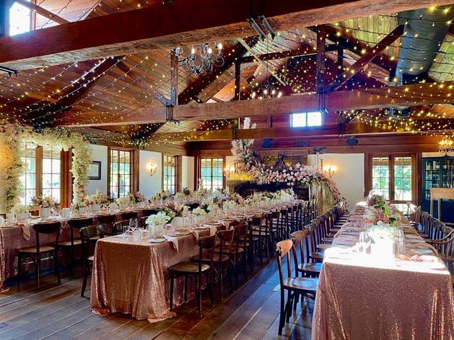 indoor ceiling fairy lighting wedding