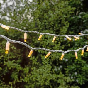 white fairy light strings in backyard