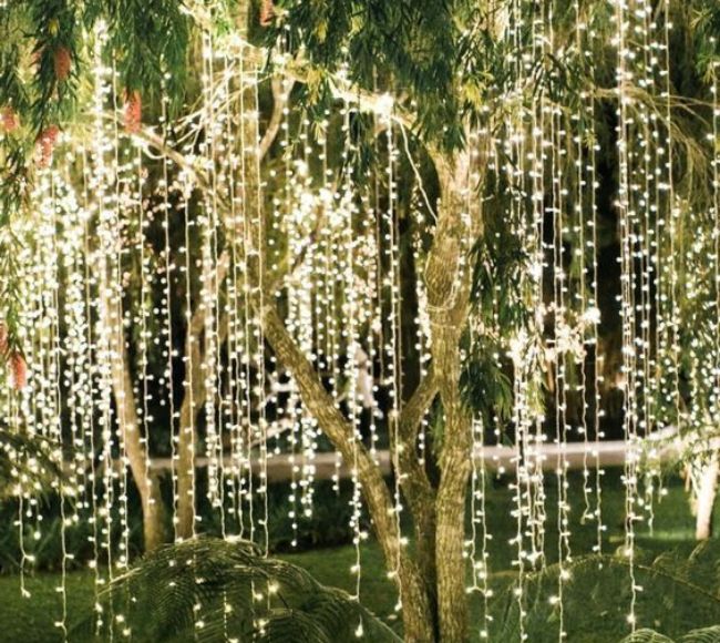 drapped on trees how to hang fairy lights