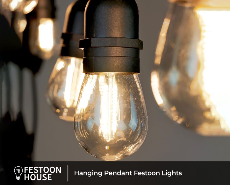 Hanging Pendant Festoon Lights 2 min
