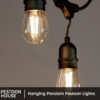 Hanging Pendant Festoon Lights 4