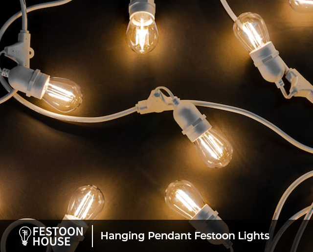 Hanging Pendant Festoon Lights white