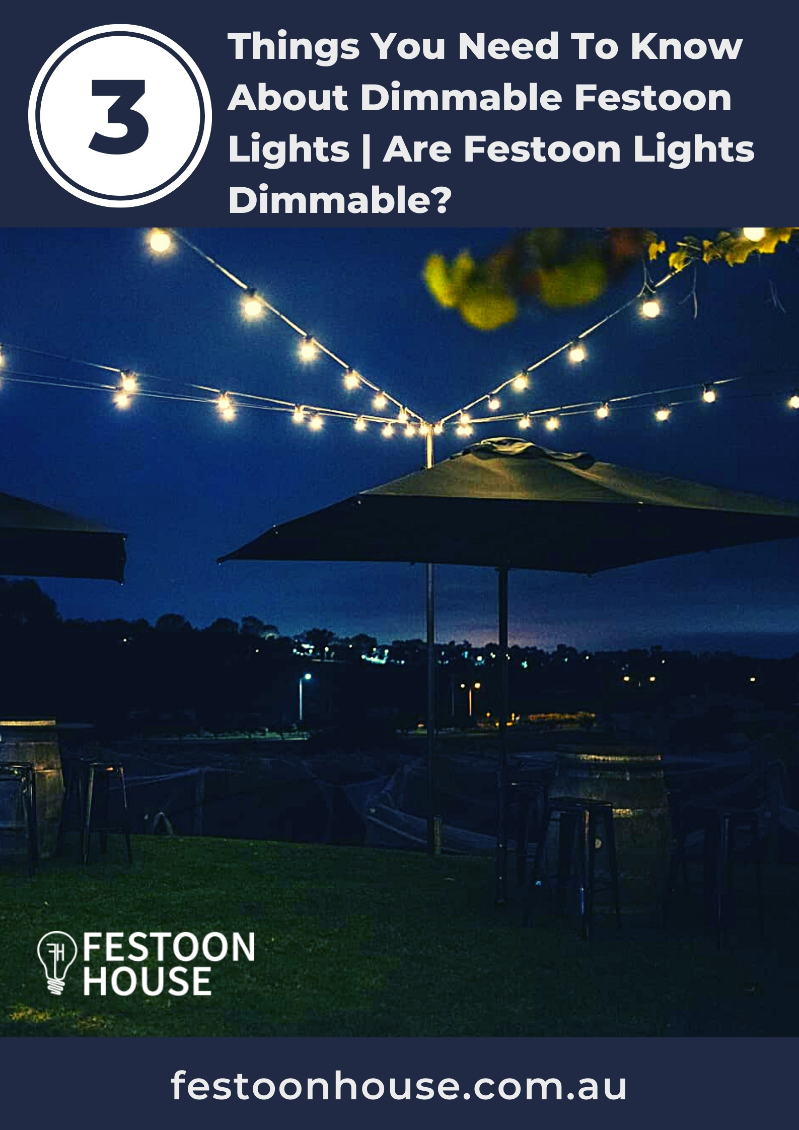 3 Things You Need To Know About Dimmable Festoon Lights | Are Festoon Lights Dimmable? 
