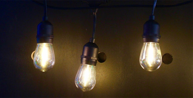 Are Festoon Lights Dimmable