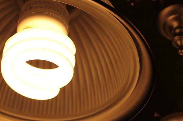 Compact Fluorescent Lightbulbs Can You Replace Bulbs on Festoon Lights