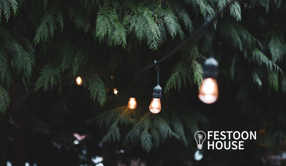 what are festoon lights featured image