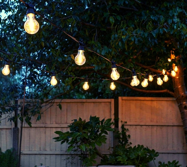 festoon lights hanging on tree
