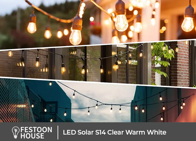 Solar Festoon Lights 6