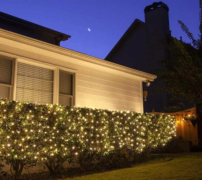 string lights covering the bushes