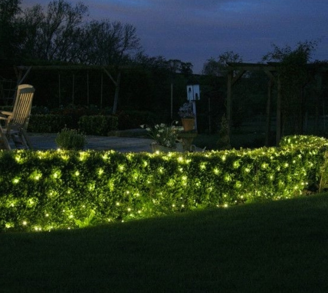 hedge fairy lights landscape lighting ideas