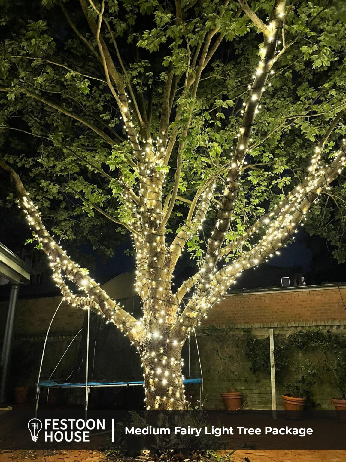 fairy light tree package medium 1