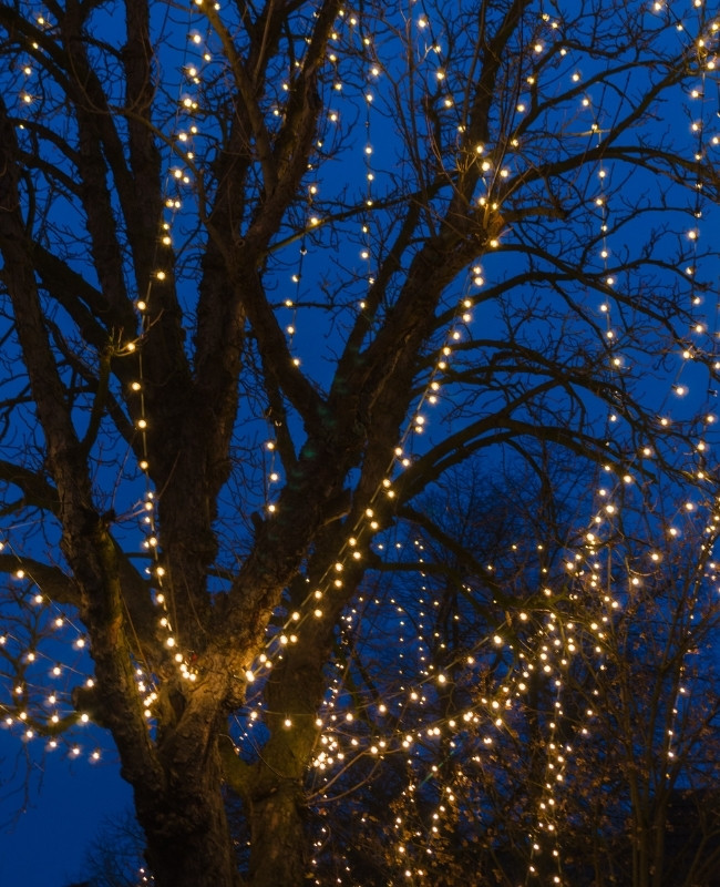 how to put fairy lights on a tree measurement