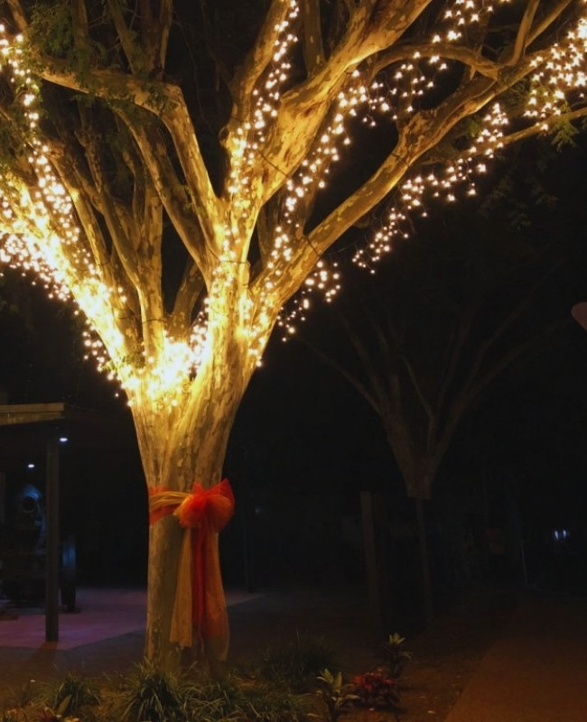 how to put fairy lights on a tree with ribbons