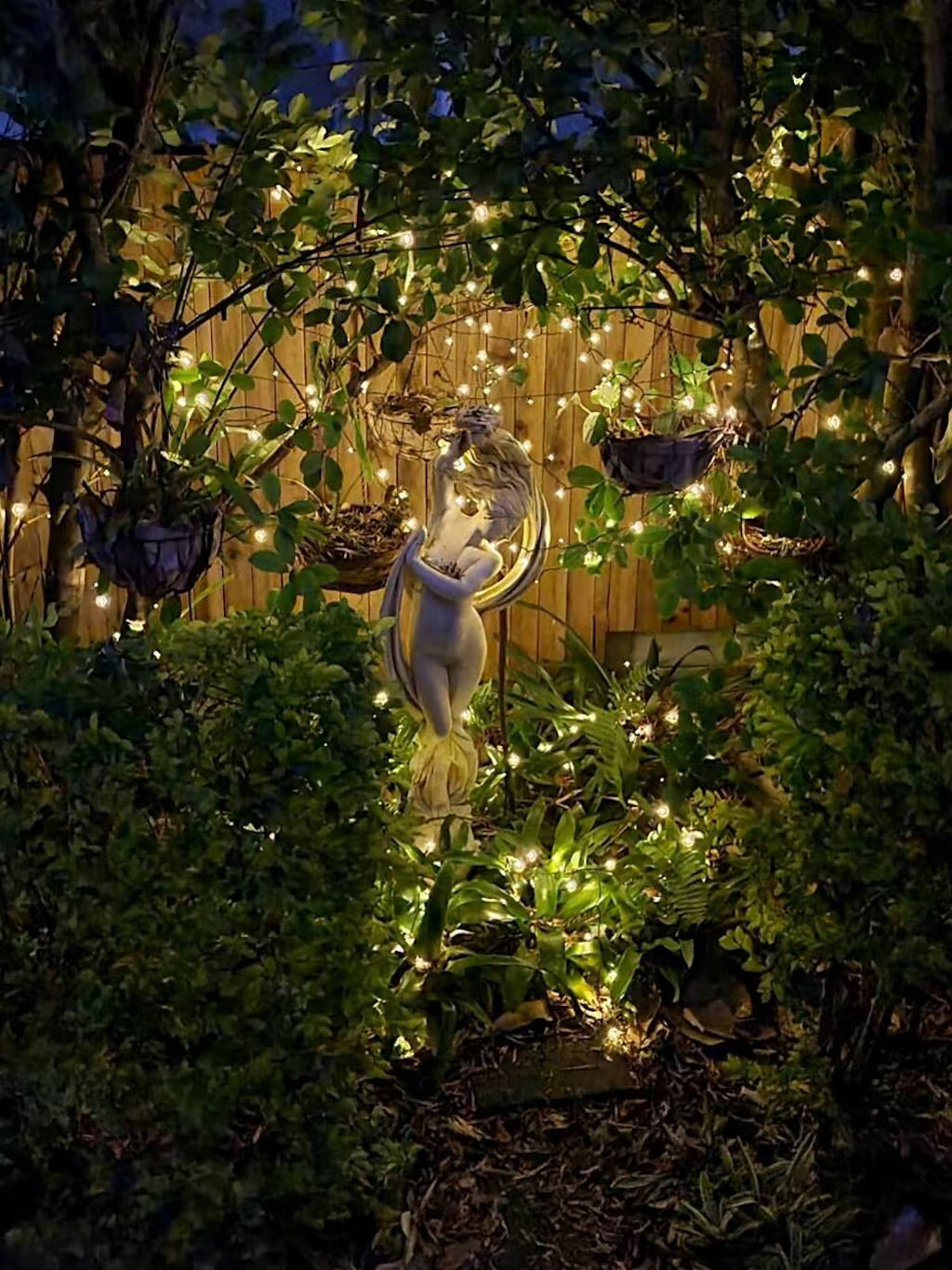 Outdoor LED Lights Review Grotto Photo