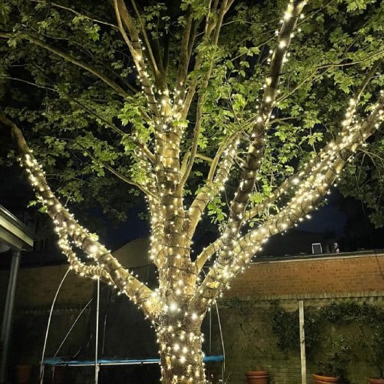 fairy light tree package