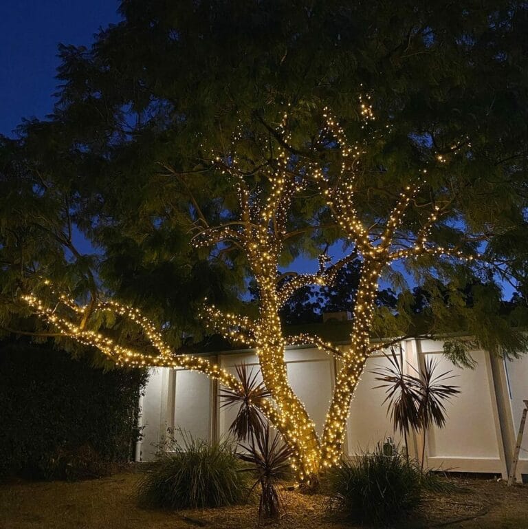 Fairy Lights Outdoor LED Tree Lighting